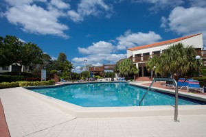 Florida pool remodel light coping