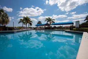 Florida pool with still water