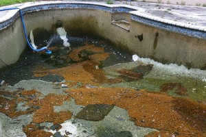 Home pool in need of cleaning
